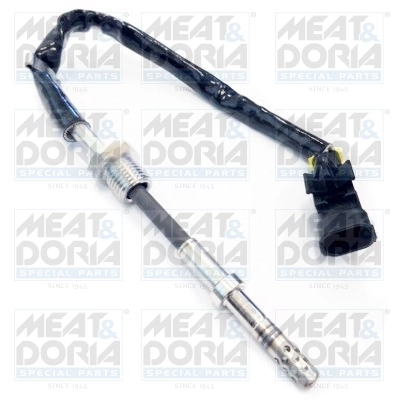 Sensor, exhaust gas temperature